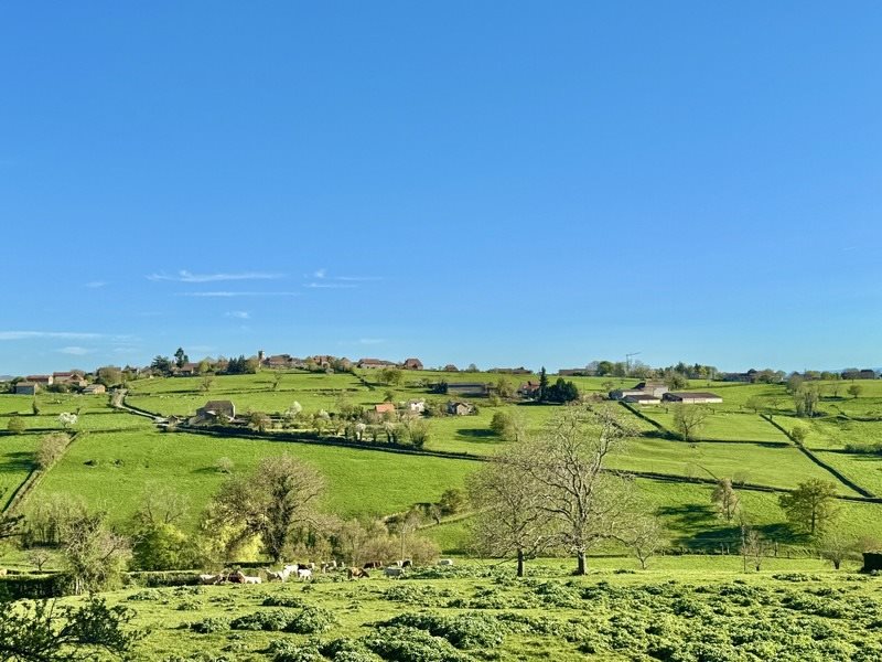 Maison à vendre, 165m², Charlieu