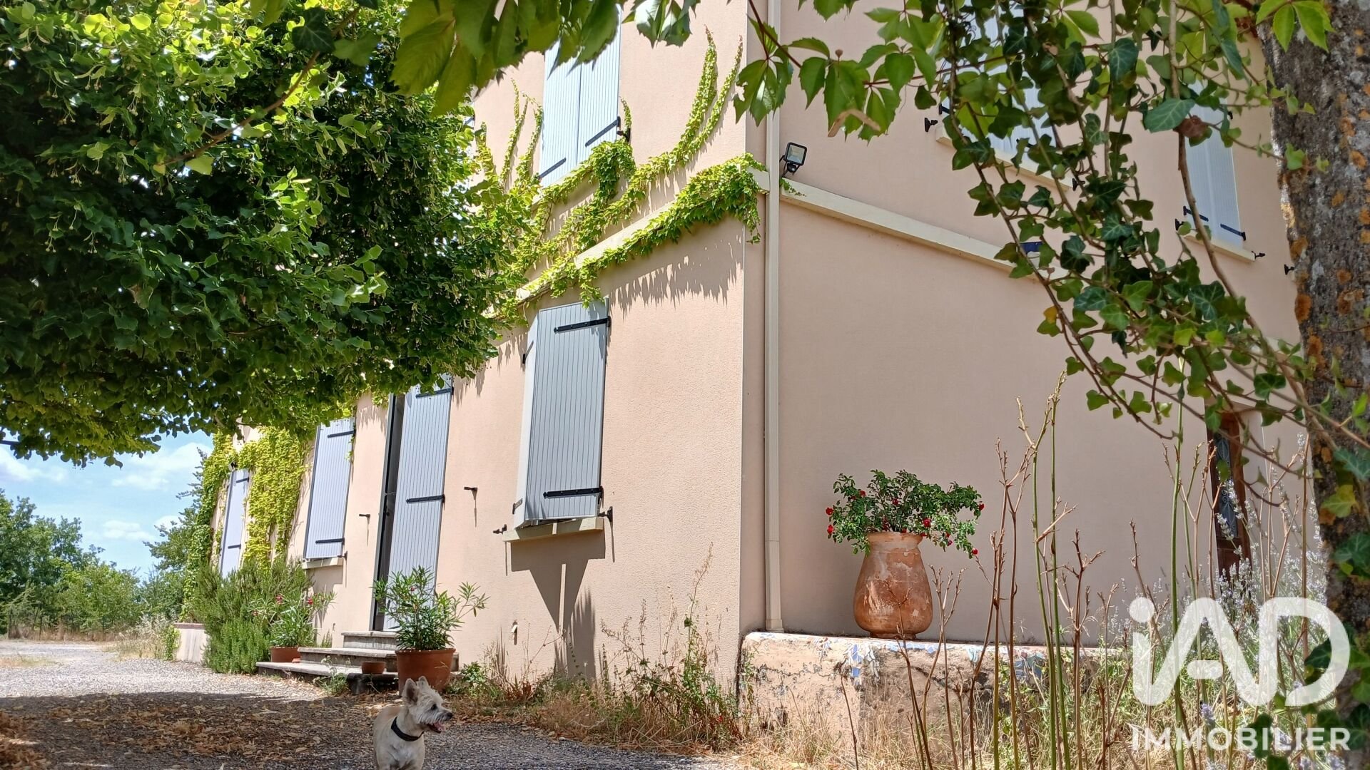 Maison à vendre, 250m², Montpezat-de-Quercy