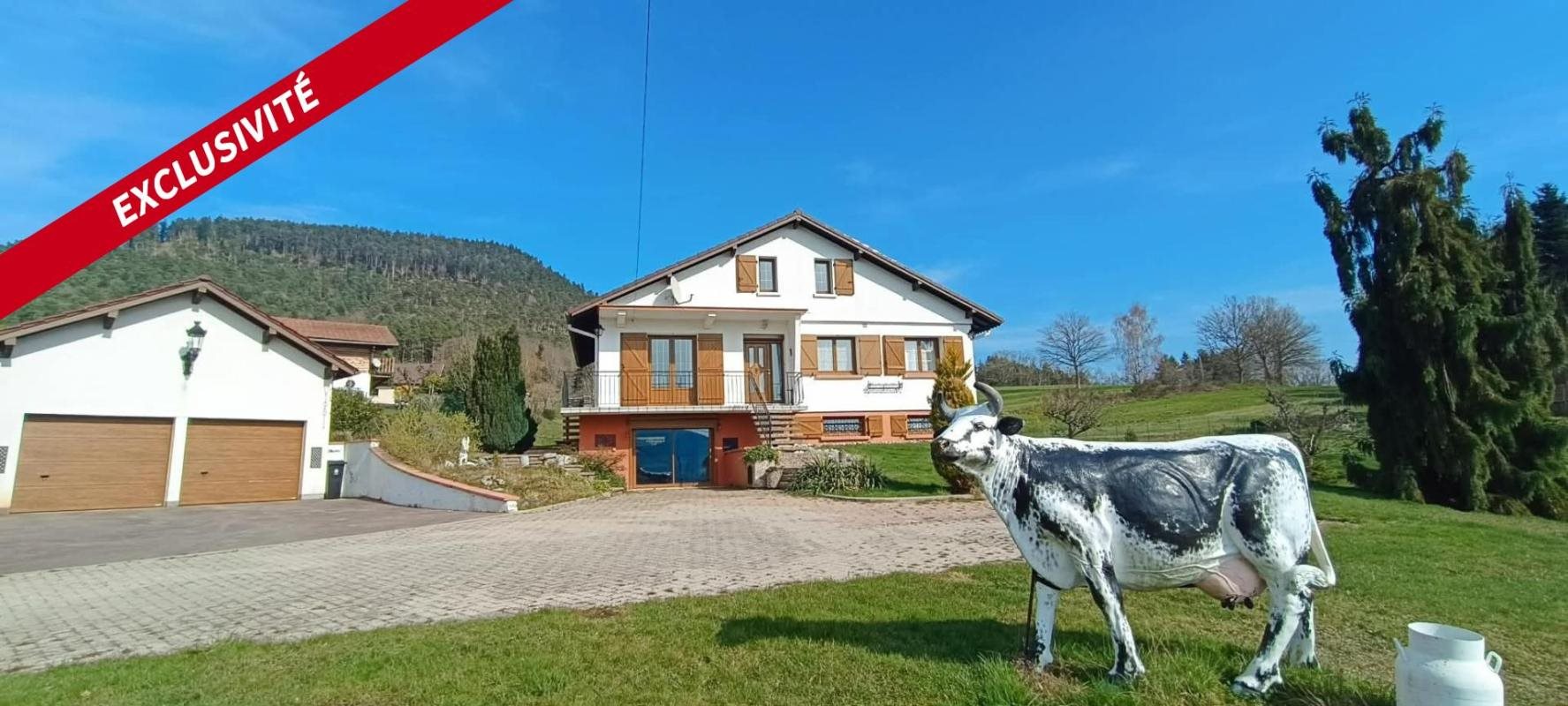 Maison à vendre, 125m², Taintrux