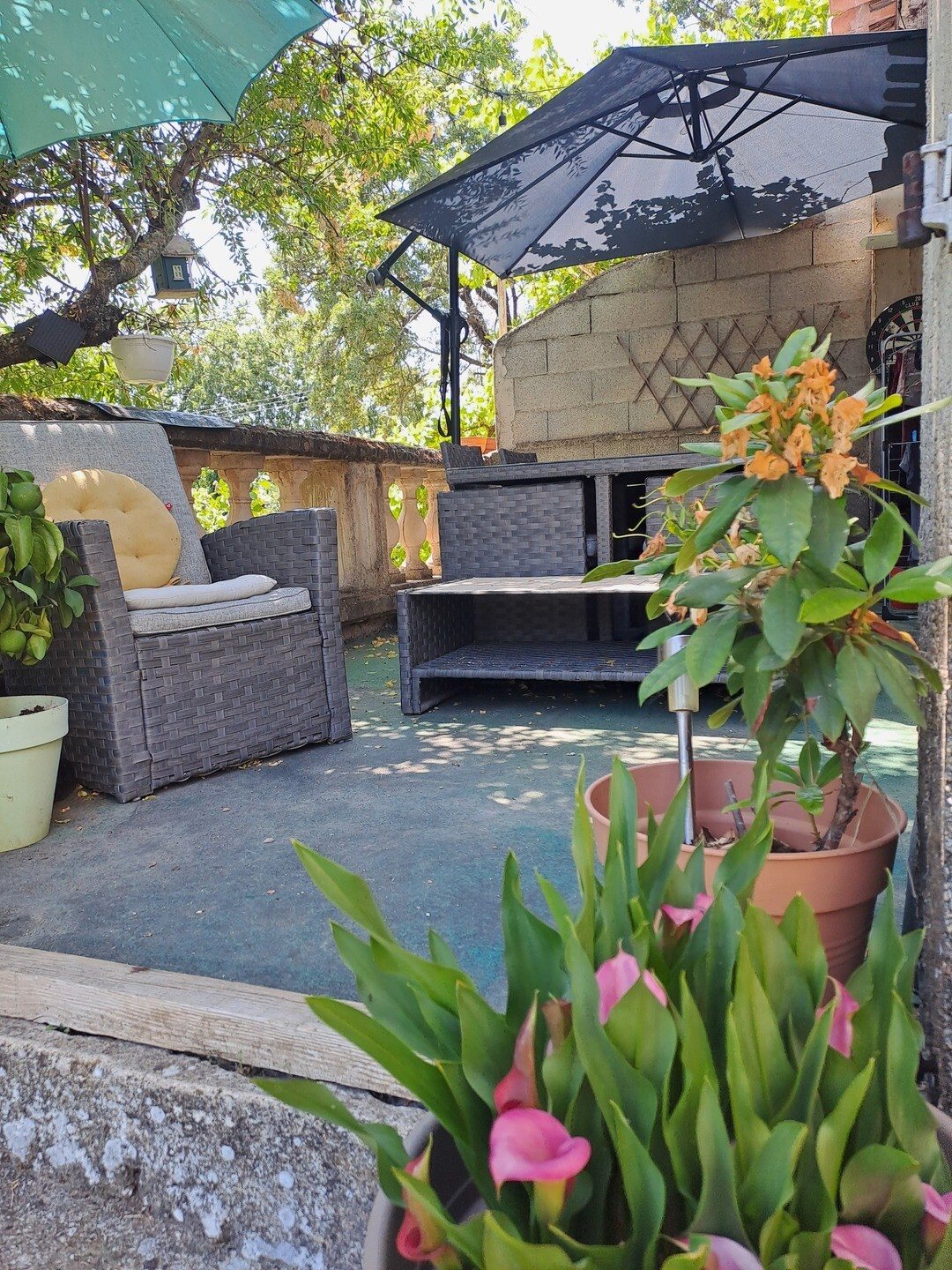 Maison à vendre, 141m², La Bastide-des-Jourdans