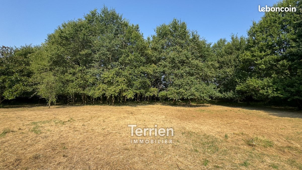 Maison à vendre, 216m², Soulaire-et-Bourg