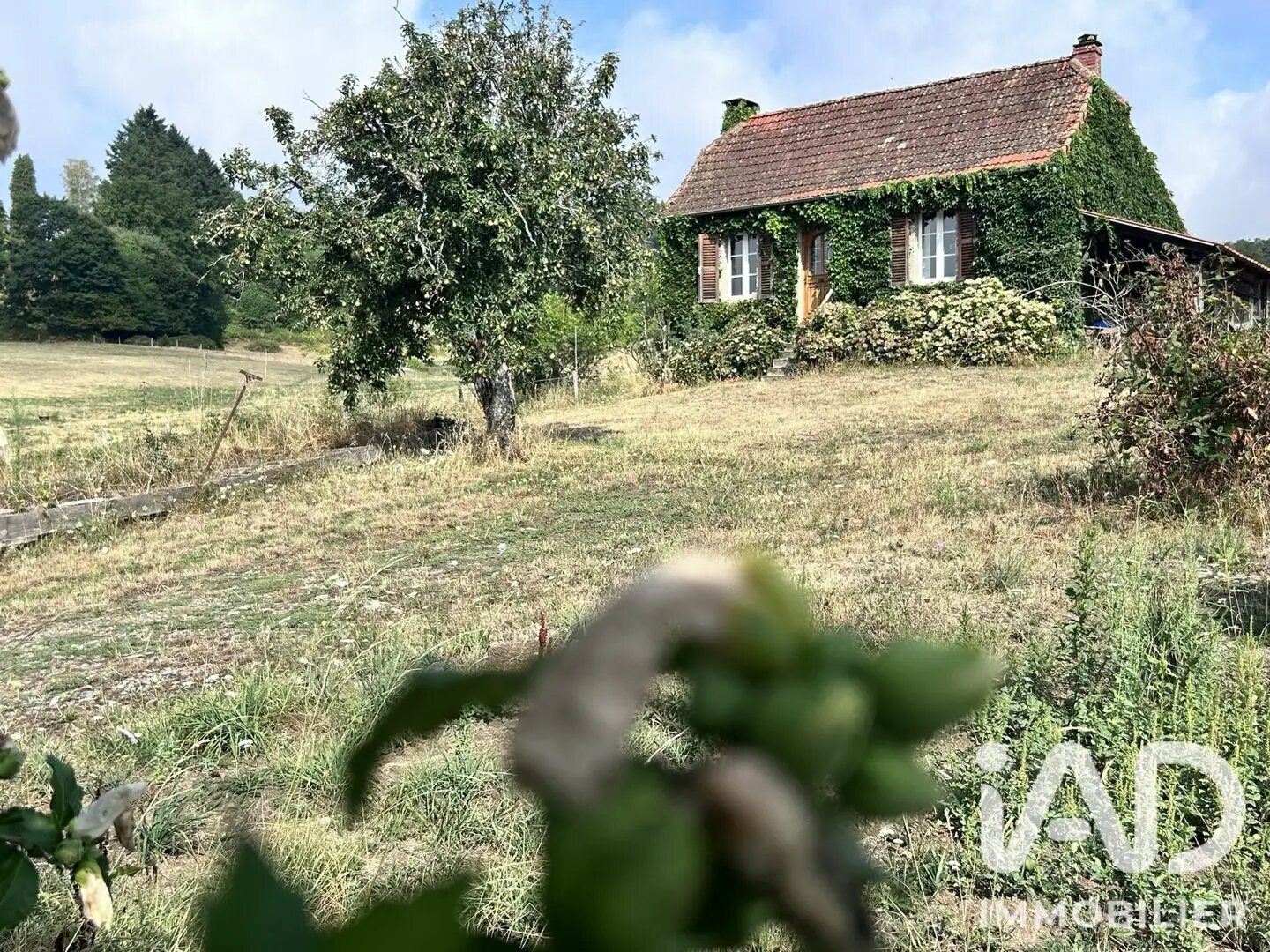 Maison à vendre, 73m², Sansac-Veinazès