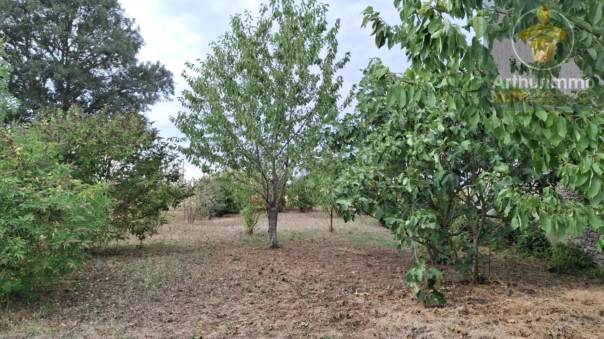 Maison à vendre, 120m², Cravant