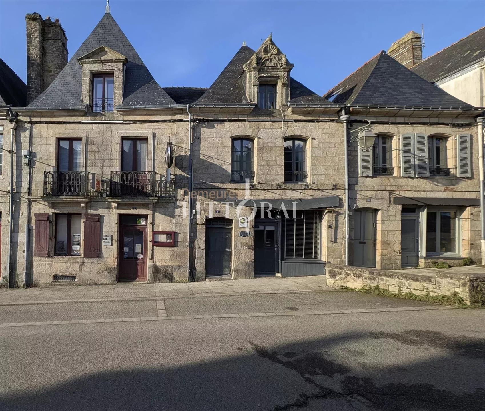 Maison à vendre, 367m², Guémené-sur-Scorff