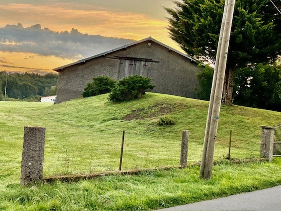Maison à vendre, 353m², Hadol