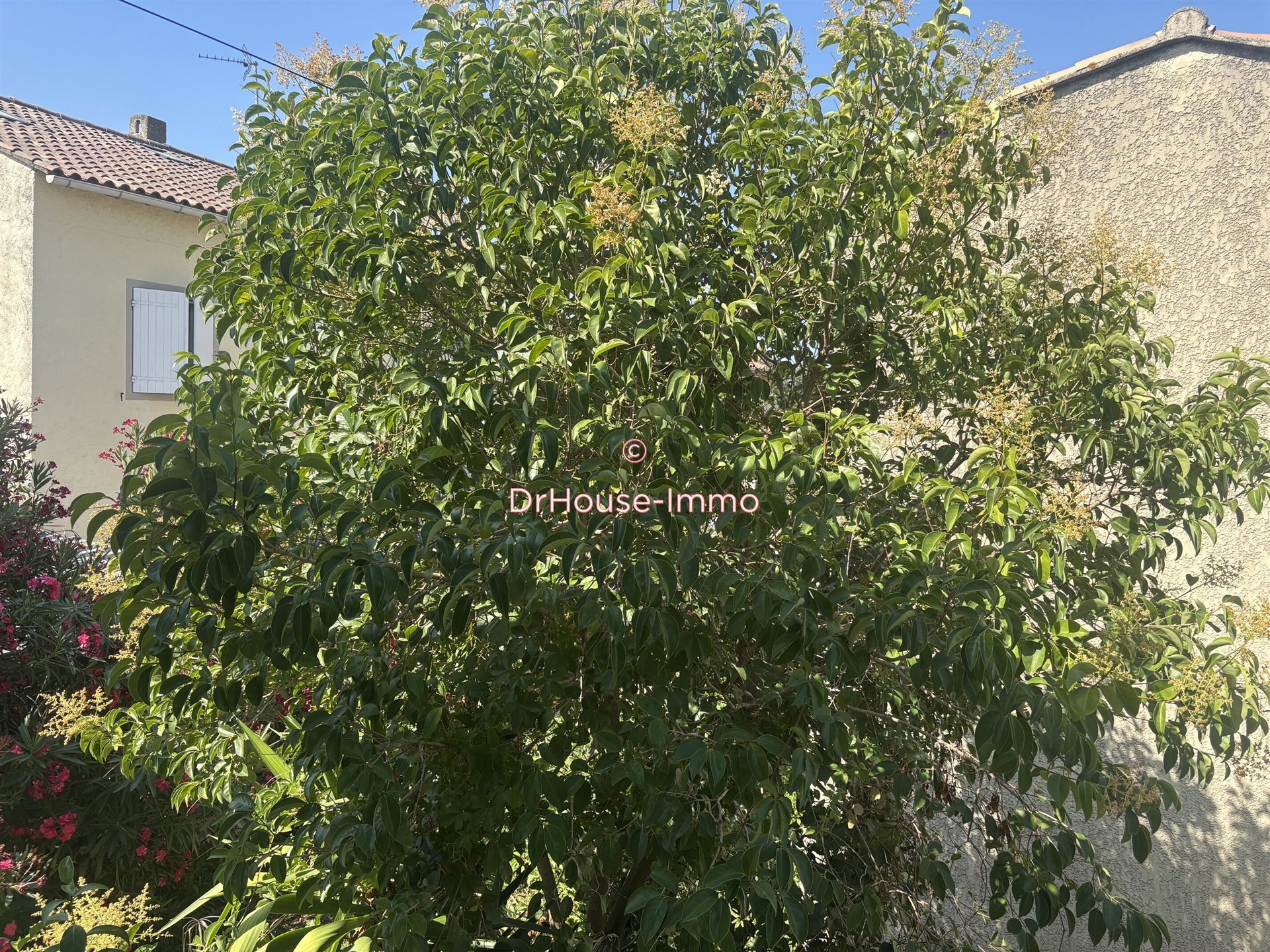 Maison à vendre, 71m², Berre-l'Etang