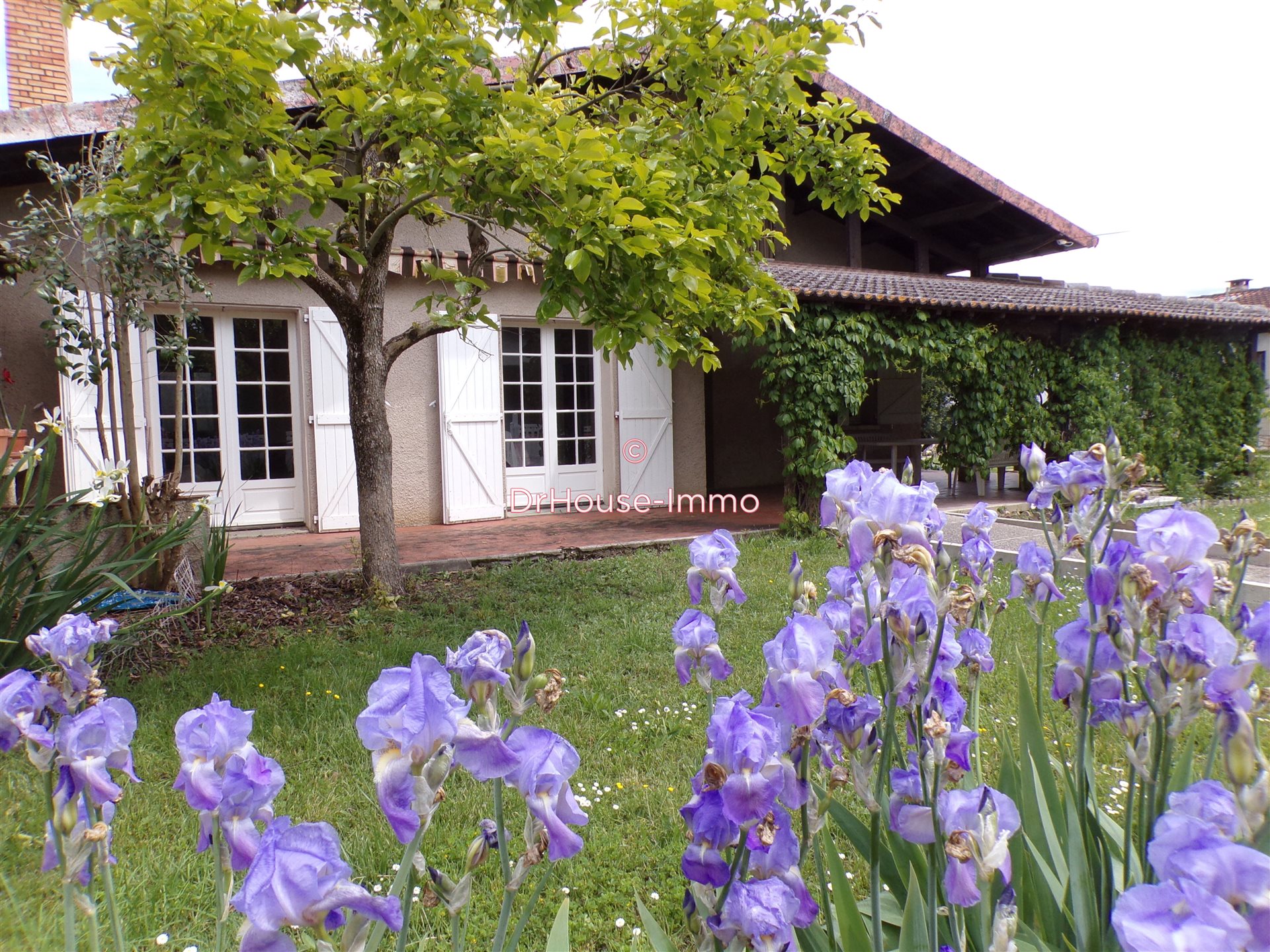 Maison à vendre, 127m², Lavaur