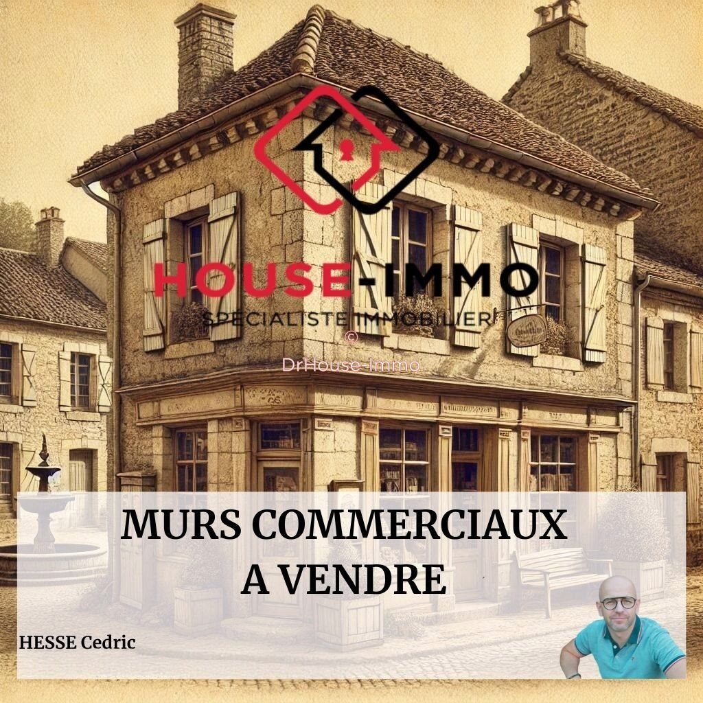 Maison à vendre, 394m², Les Landes-Genusson
