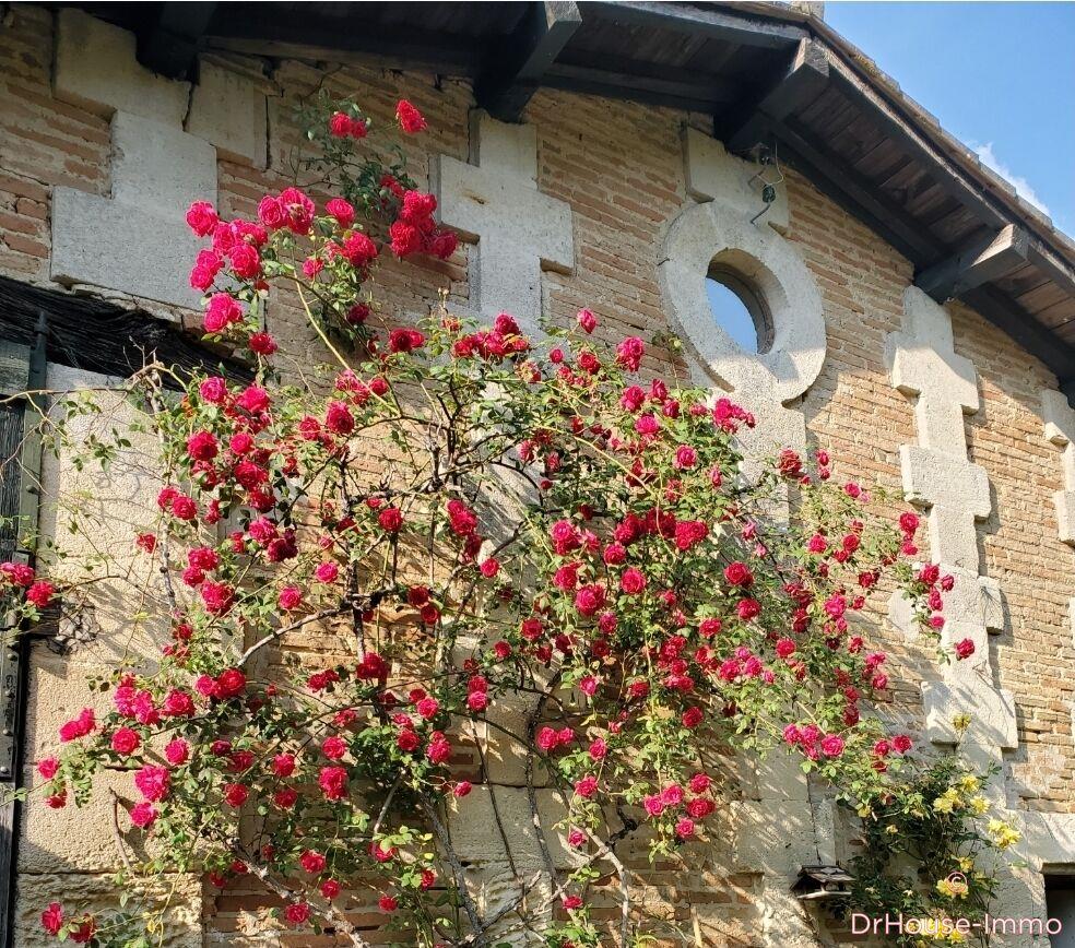 Maison à vendre, 240m², Tizac-de-Lapouyade