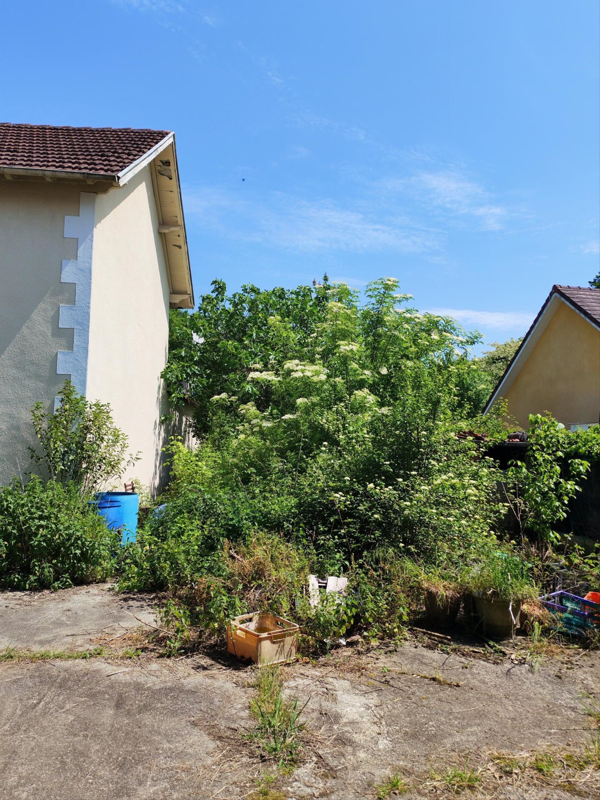 Maison à vendre, 323m², Mont