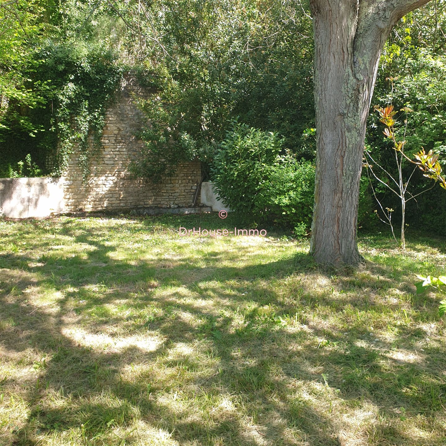 Maison à vendre, 150m², Civray