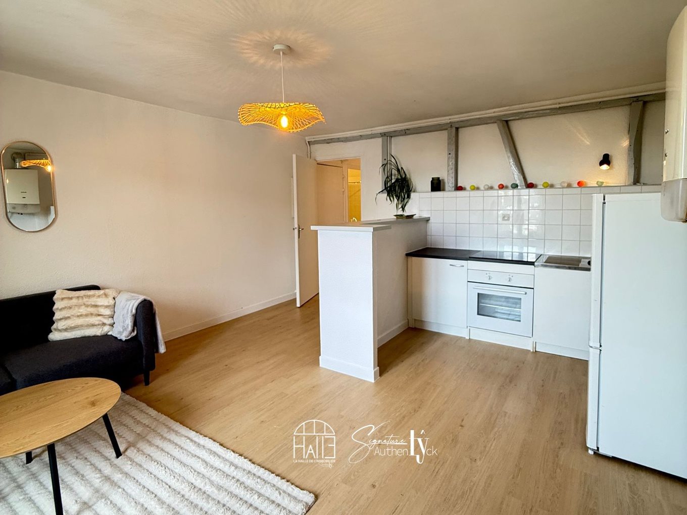 Appartement à vendre, 49m², Limoges