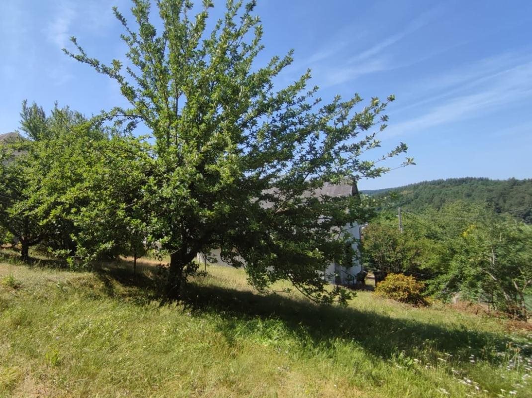Maison à vendre, 132m², Ussel