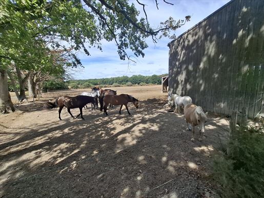 10 pièces 250 m² · à Blain · 250 m² · 997 500 €