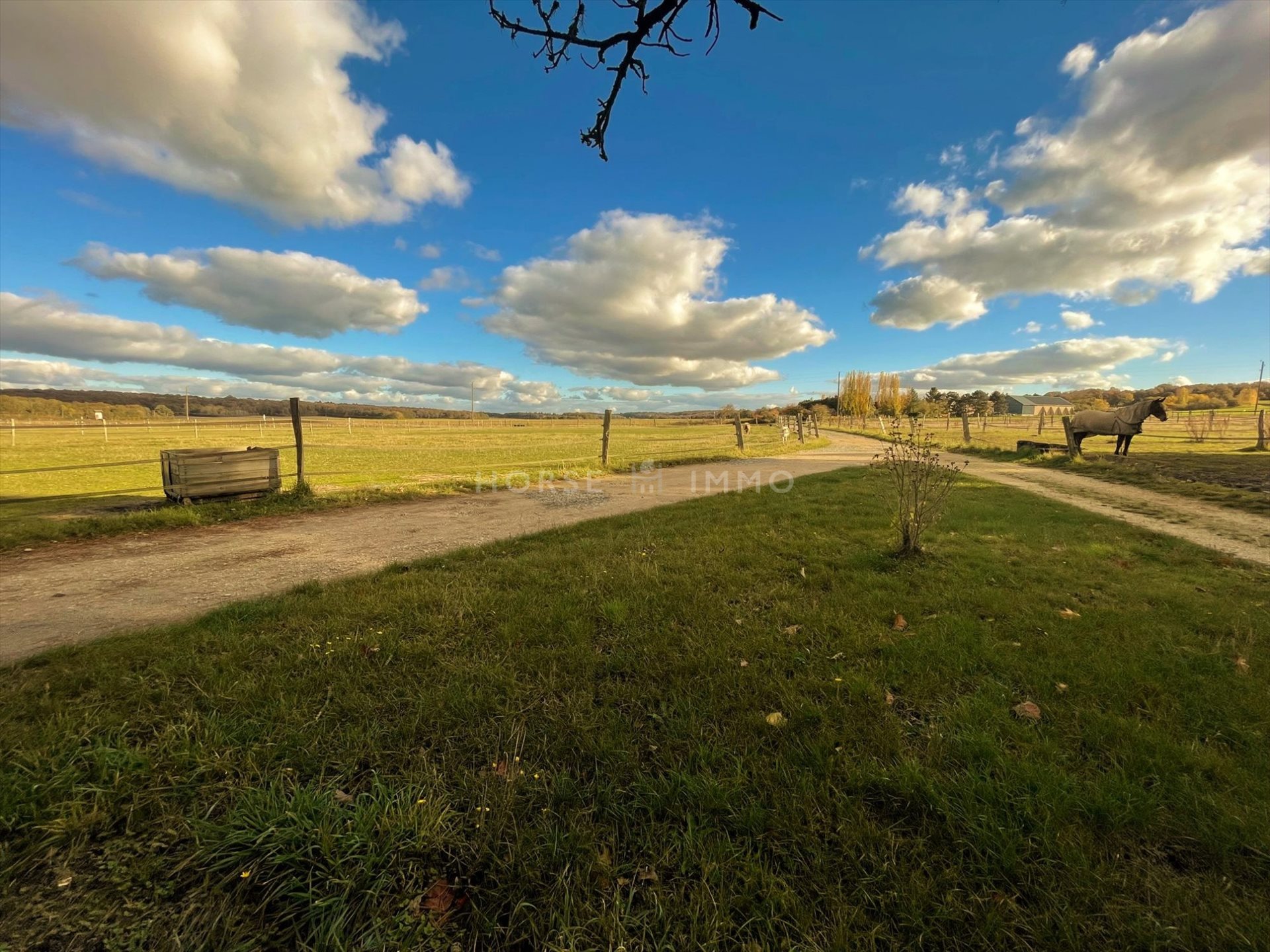Maison à vendre, 200m², Bourdonné