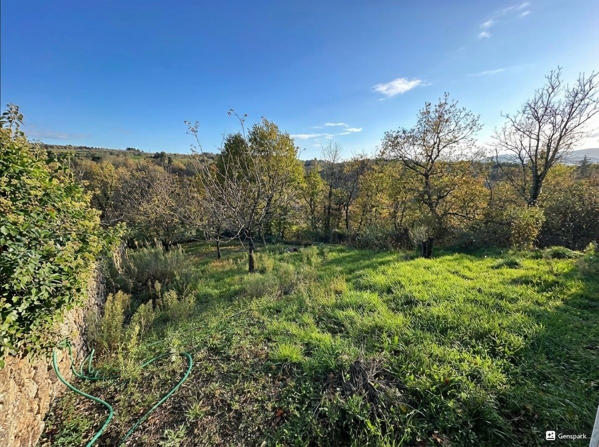 Maison à vendre, 357m², Maclas