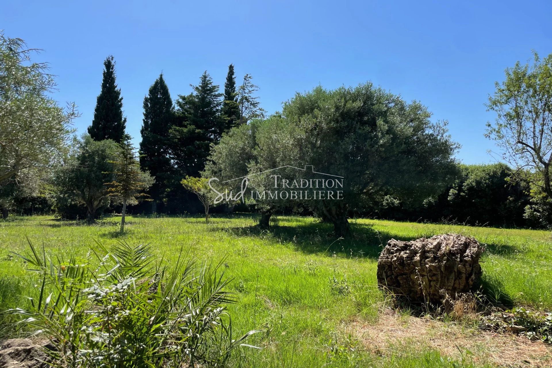 Maison à vendre, 185m², Maussane-les-Alpilles