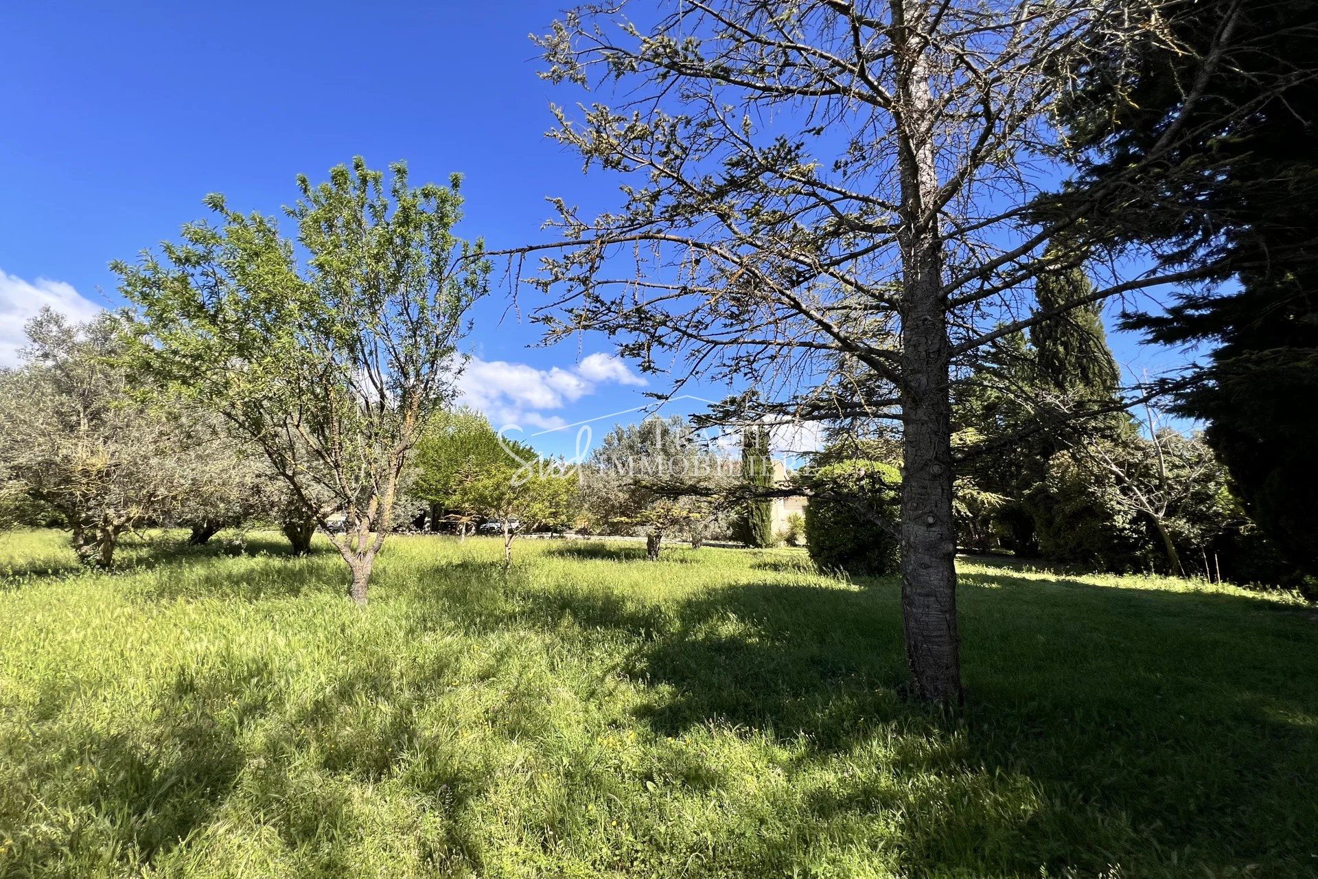 Maison à vendre, 185m², Maussane-les-Alpilles