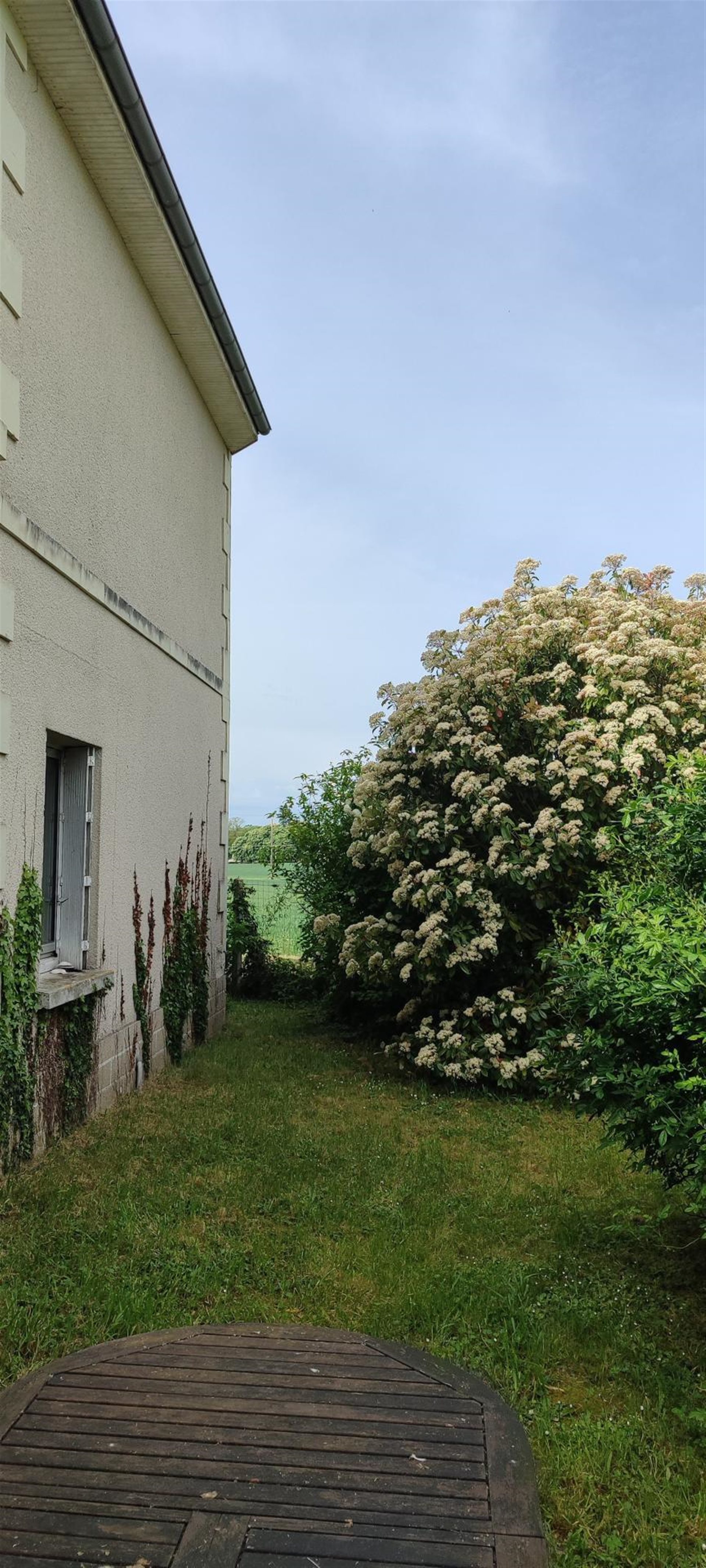 Maison à vendre, 172m², Messemé