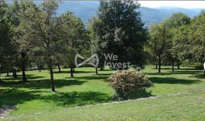 Maison à vendre, 340m², Saint-Amans-Valtoret
