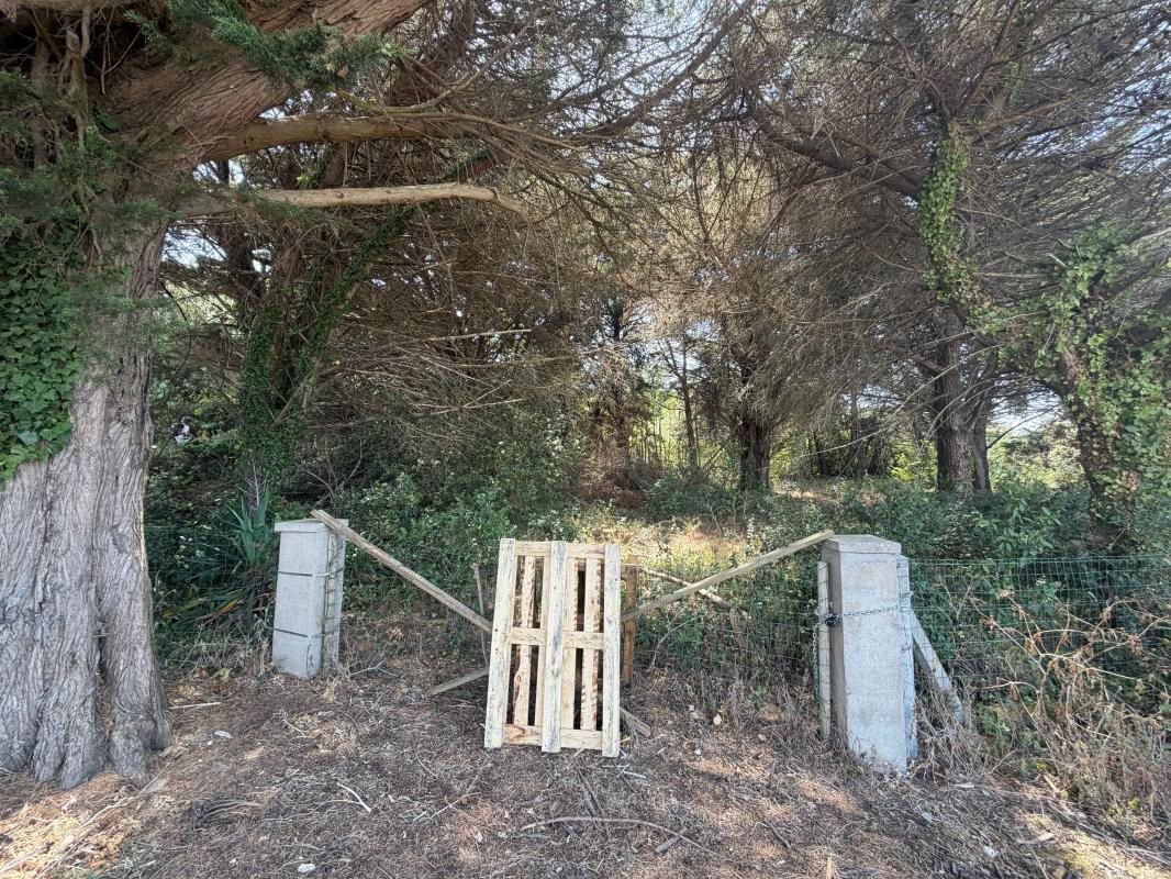 Maison à vendre, 1318m², La Couarde-sur-Mer