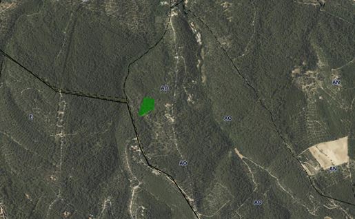 Advert pic 0