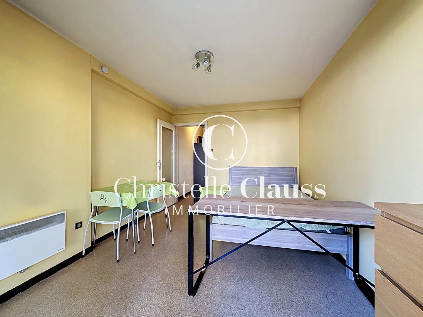 Appartement à vendre, 21m², Illkirch-Graffenstaden