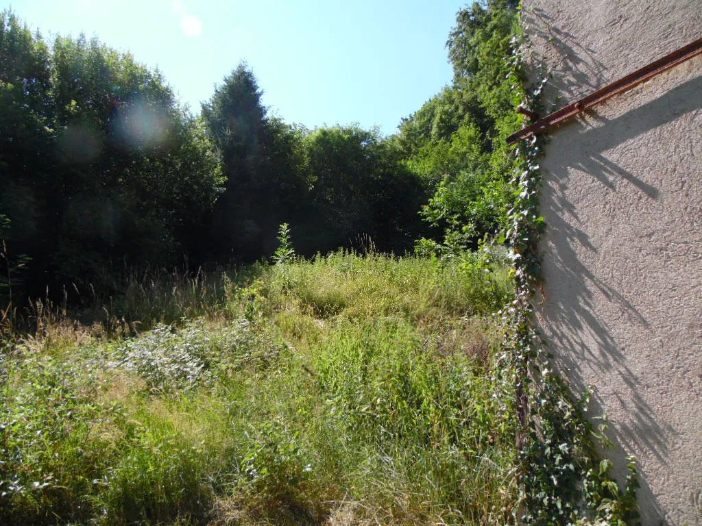 Maison à vendre, 40m², Senones