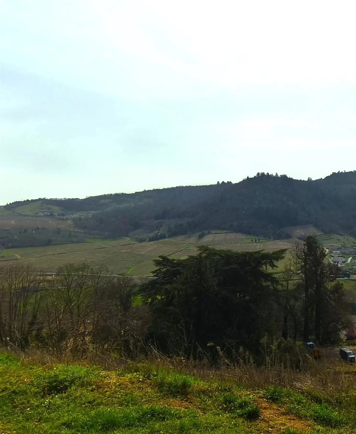 Maison à vendre, 180m², Vaux-en-Beaujolais