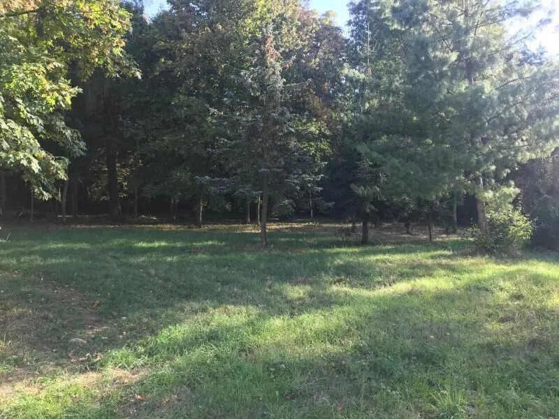 Maison à vendre, 92m², Parentis-en-Born