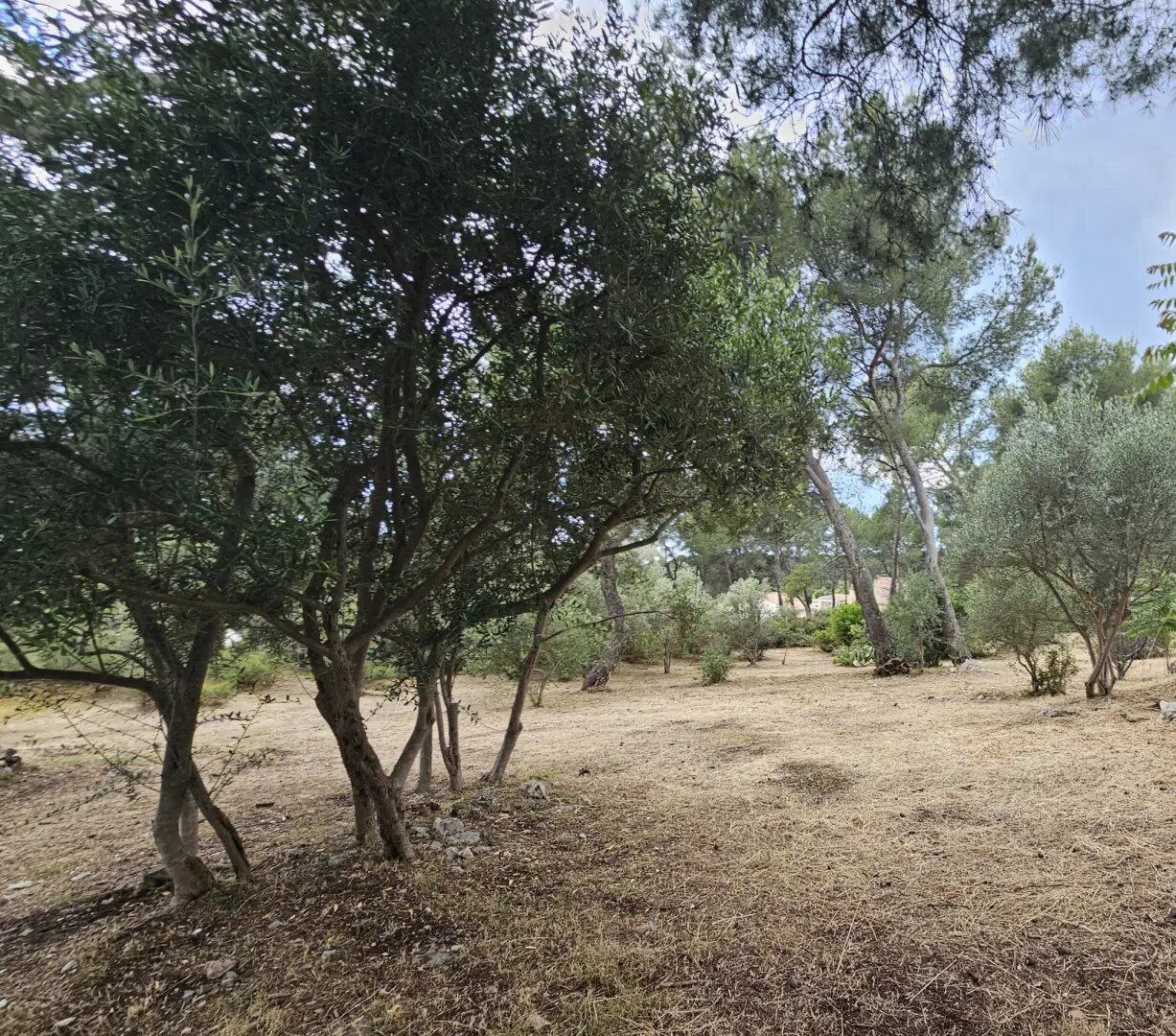 Maison à vendre, 220m², La Cadière-d'Azur