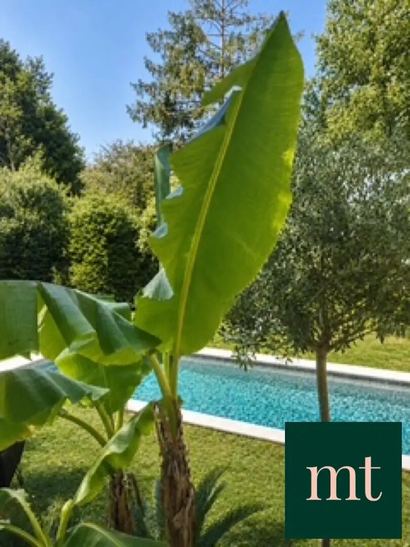 Maison à vendre, 170m², Anglet