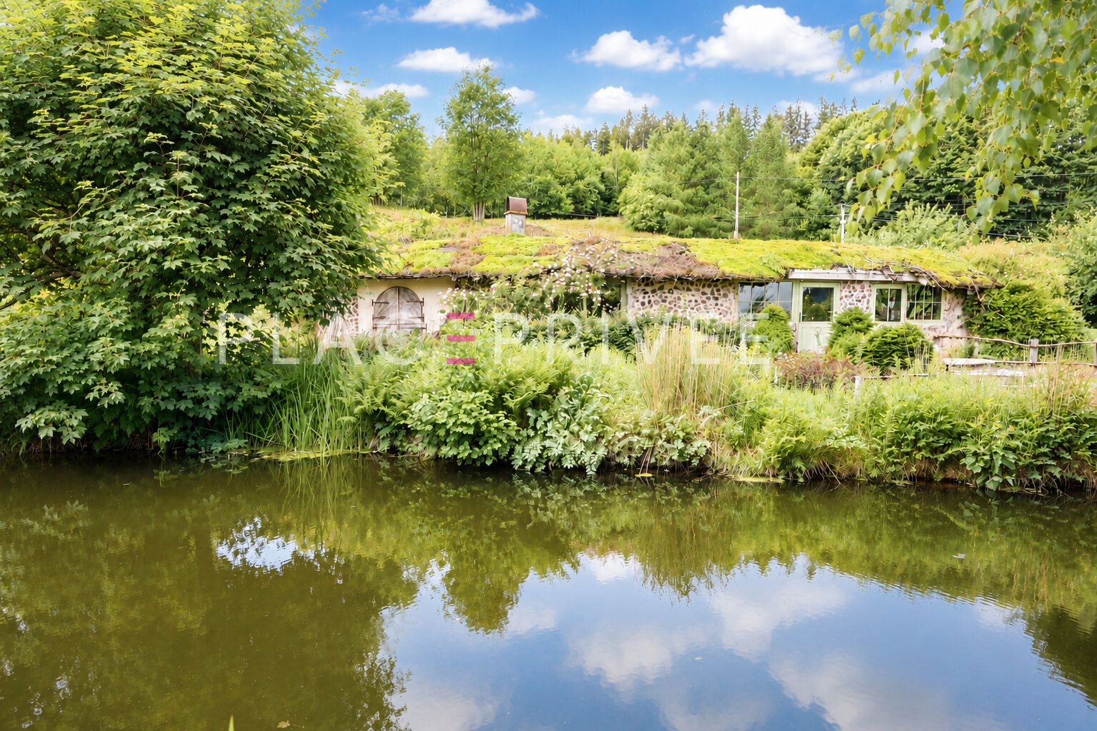 Maison à vendre, 300m², Gérardmer