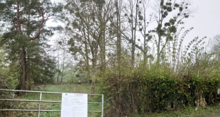 Maison à vendre, 155m², Manou