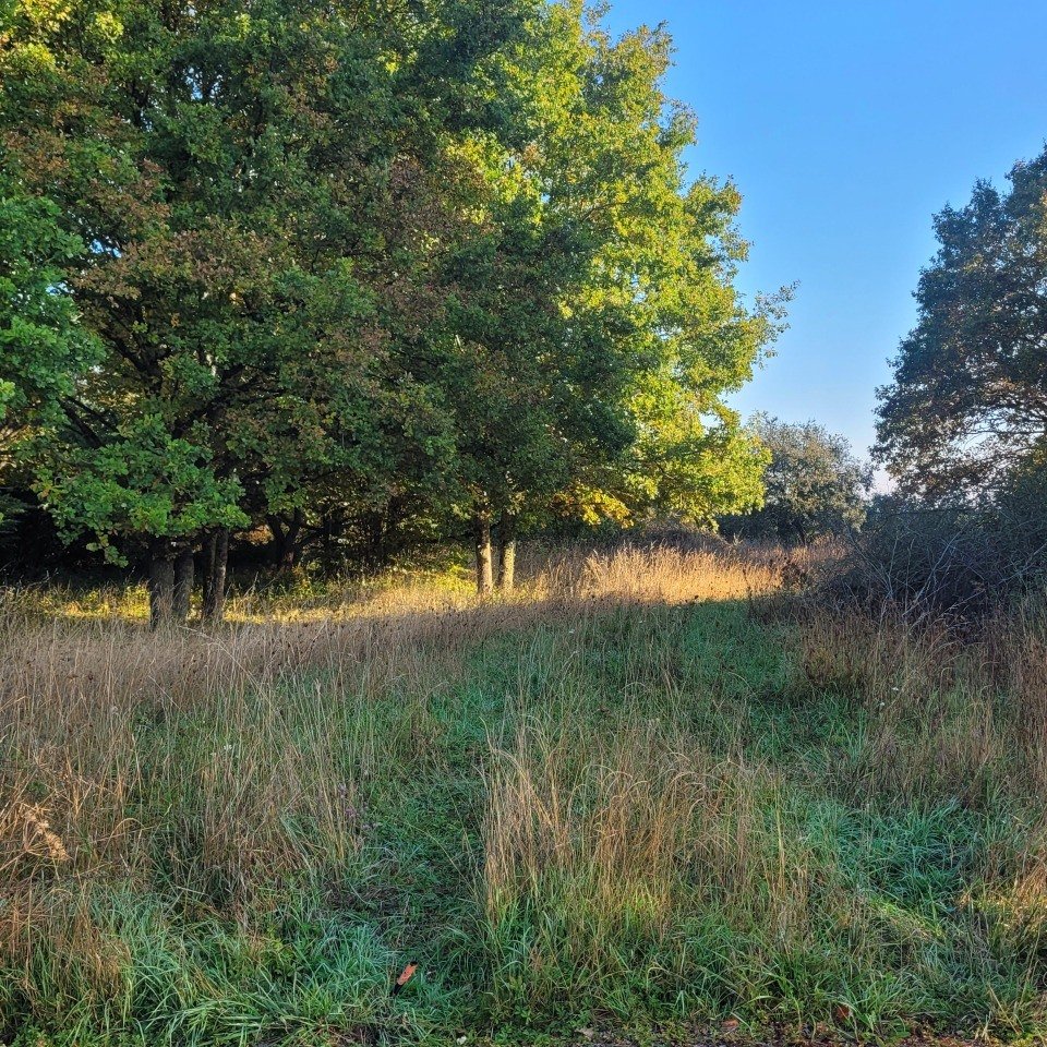 Maison à vendre, 90m², La Ferté-Gaucher
