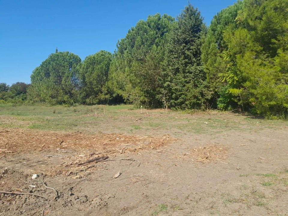 Maison à vendre, 120m², Morières-lès-Avignon