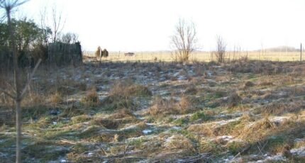 Maison à vendre, 90m², Fresnoy-la-Rivière