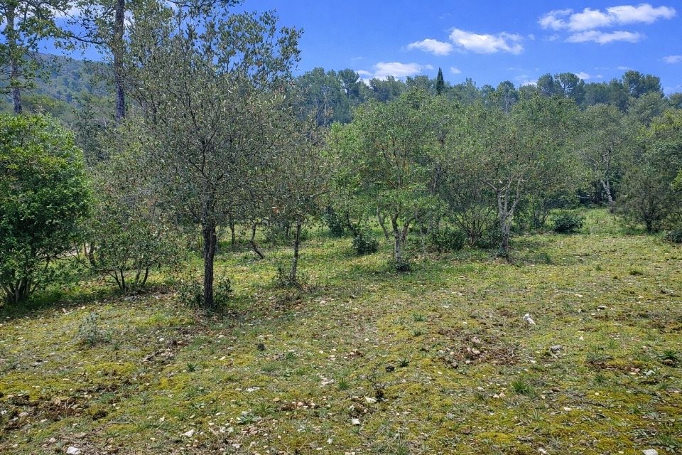 Maison à vendre, 80m², Garéoult