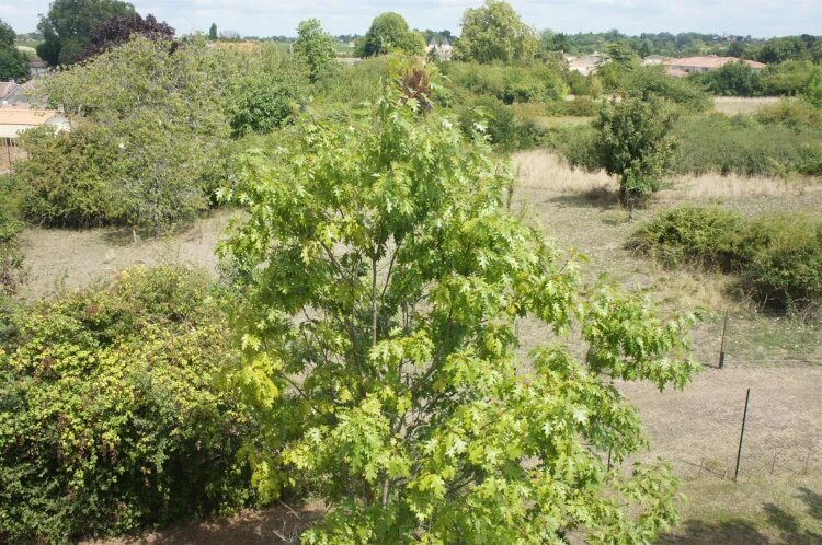 Appartement à vendre, 42m², Blaye