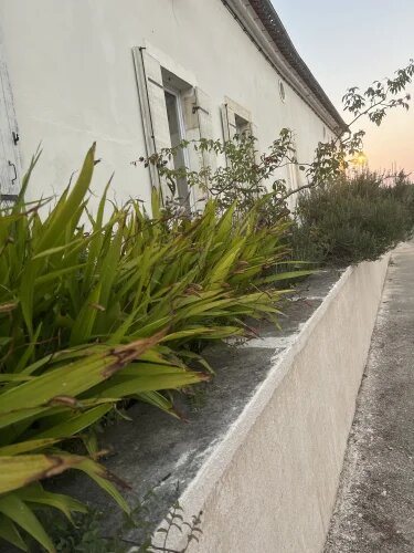 Maison à vendre, 300m², La Sauve