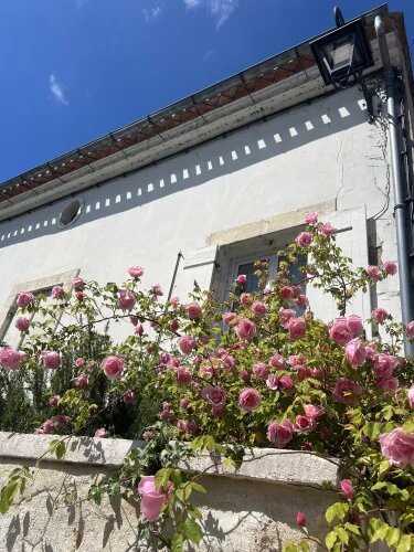 Maison à vendre, 300m², La Sauve