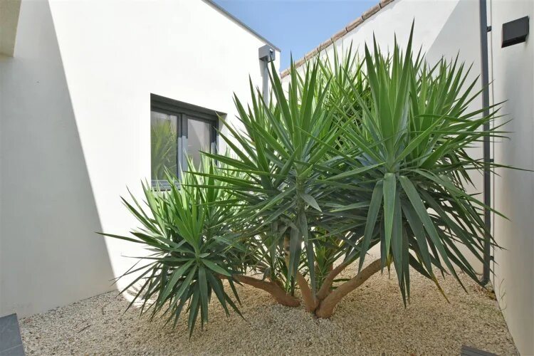 Maison à vendre, 142m², Nîmes
