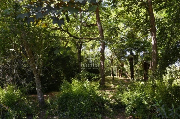 Maison à vendre, 355m², Saint-Émilion