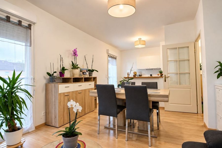 Appartement à louer, 48m², Wasquehal
