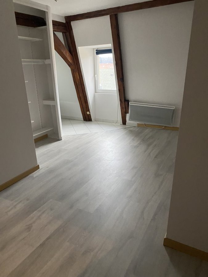 Appartement à louer, 19m², Saint-Dié-des-Vosges