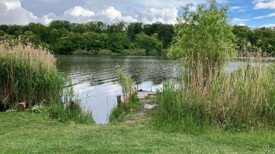 Maison à vendre, 45m², Puttelange-aux-Lacs
