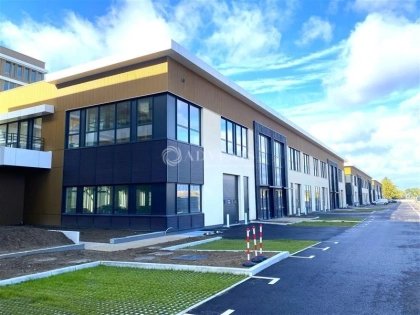 Maison à louer, 600m², Samer