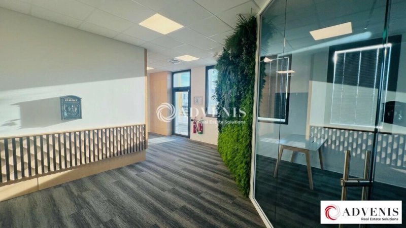 Maison à louer, 278m², Eysines