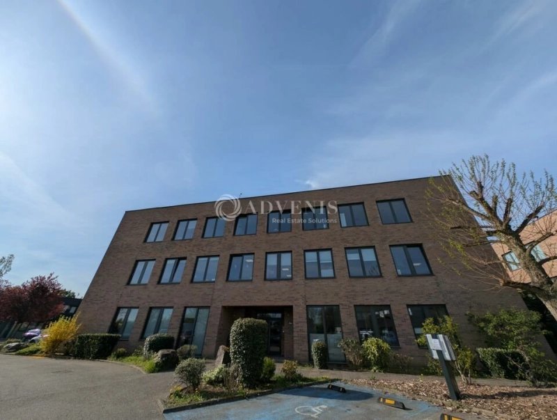 Maison à louer, 290m², Entzheim