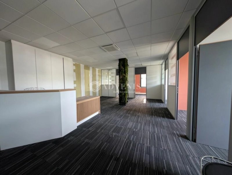Maison à louer, 290m², Entzheim